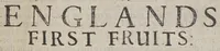 Picture 2 of 3 from New Englands first fruits : in respect, first of the conversion of some, conviction of divers, preparation of sundry of the Indians. 2. Of the progresse of learning, in the colledge at Cambridge in Massacusets [sic] Bay. With divers other speciall matters concerning that countrey. Published by the instant request of sundry friends, who desire to be satisfied in these points by many New-England men who are here present, and were eye or eare-witnesses of the same (1643), leaf 9