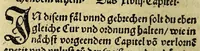 An illustration from New erfundne heylsame, vnd bewärte Artzney, gewisse Hilff vnnd [sic] Radt, : nit allein die frantzosen oder bösen Blatern, sunder auch andere sorgliche schwere Kra[n]ckheyt Mangel vnd Gebreche[n], menschlichs Leibs, so sich eüsserlichen oder innerlichen erheben, aber bissher für vnheylbar geacht worden, gründtlichen vnd gentzlichen zü vertreiben, heylen vnd curieren, mit vormals vnbekanter, und biss auff dise Zeit vnbewisster Bereytung, Gebrauch vnd Würckung des indianischen Holtz Guaiacum oder frantzosen Holtz genennet, yetzund newlich erfunde[n], vnd an Tag geben. (1541)