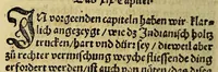 An illustration from New erfundne heylsame, vnd bewärte Artzney, gewisse Hilff vnnd [sic] Radt, : nit allein die frantzosen oder bösen Blatern, sunder auch andere sorgliche schwere Kra[n]ckheyt Mangel vnd Gebreche[n], menschlichs Leibs, so sich eüsserlichen oder innerlichen erheben, aber bissher für vnheylbar geacht worden, gründtlichen vnd gentzlichen zü vertreiben, heylen vnd curieren, mit vormals vnbekanter, und biss auff dise Zeit vnbewisster Bereytung, Gebrauch vnd Würckung des indianischen Holtz Guaiacum oder frantzosen Holtz genennet, yetzund newlich erfunde[n], vnd an Tag geben. (1541)