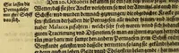 An illustration from Newe Schifffahrt Einer dreyjährigen Reyse, (1605)