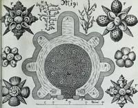 An illustration from Newes itinerarium Italiae : in welchem der Reisende nicht allein gründtlichen Bericht, durch die herzlichste namhaffteste Örter Italiae sein Reiss wol zubestellen, sonder es wirdt jhme auch gantz eygentlich beschriben, was allda als in einem Lustgarten di Europe ... an Sitten vnd Gewonheiten, im Geistlichen vnd Politischen, an mechanischen Wercken zu Land vnd zu Wasser, vnd also an Gebäwen ... denckwürdig zu sehen : alles ... an Tag gegeben ... (1627)