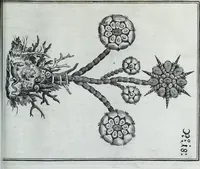 An illustration from Newes itinerarium Italiae : in welchem der Reisende nicht allein gründtlichen Bericht, durch die herzlichste namhaffteste Örter Italiae sein Reiss wol zubestellen, sonder es wirdt jhme auch gantz eygentlich beschriben, was allda als in einem Lustgarten di Europe ... an Sitten vnd Gewonheiten, im Geistlichen vnd Politischen, an mechanischen Wercken zu Land vnd zu Wasser, vnd also an Gebäwen ... denckwürdig zu sehen : alles ... an Tag gegeben ... (1627)