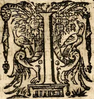 An illustration from Newes of Sr. Walter Rauleigh : with the true description of Gviana, as also a relation of the excellent gouernment, and much hope of the prosperity of the voyage (1618)