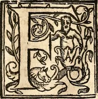 An illustration from Newes of Sr. Walter Rauleigh : with the true description of Gviana, as also a relation of the excellent gouernment, and much hope of the prosperity of the voyage (1618)