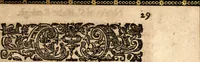 An illustration from Newes of Sr. Walter Rauleigh : with the true description of Gviana, as also a relation of the excellent gouernment, and much hope of the prosperity of the voyage (1618)