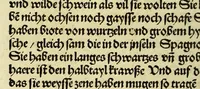 Picture 37 of 47 from Newe vnbekanthe Landte und ein newe Weldte in kurtz verganger Zeythe erfunden (1508), leaf 102