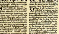 An illustration from Newe vnbekanthe Landte und ein newe Weldte in kurtz verganger Zeythe erfunden (1508)