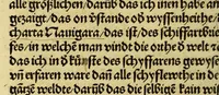 An illustration from Newe vnbekanthe Landte und ein newe Weldte in kurtz verganger Zeythe erfunden (1508)