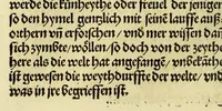 An illustration from Newe vnbekanthe Landte und ein newe Weldte in kurtz verganger Zeythe erfunden (1508)