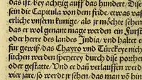 An illustration from Newe vnbekanthe Landte und ein newe Weldte in kurtz verganger Zeythe erfunden (1508)
