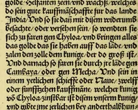 An illustration from Newe vnbekanthe Landte und ein newe Weldte in kurtz verganger Zeythe erfunden (1508)