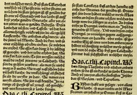 An illustration from Newe vnbekanthe Landte und ein newe Weldte in kurtz verganger Zeythe erfunden (1508)