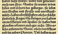 An illustration from Newe vnbekanthe Landte und ein newe Weldte in kurtz verganger Zeythe erfunden (1508)