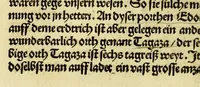 An illustration from Newe vnbekanthe Landte und ein newe Weldte in kurtz verganger Zeythe erfunden (1508)
