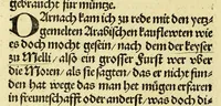 An illustration from Newe vnbekanthe Landte und ein newe Weldte in kurtz verganger Zeythe erfunden (1508)