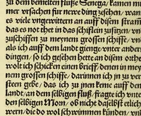 An illustration from Newe vnbekanthe Landte und ein newe Weldte in kurtz verganger Zeythe erfunden (1508)