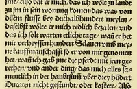 An illustration from Newe vnbekanthe Landte und ein newe Weldte in kurtz verganger Zeythe erfunden (1508)