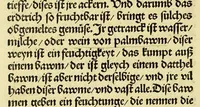 An illustration from Newe vnbekanthe Landte und ein newe Weldte in kurtz verganger Zeythe erfunden (1508)