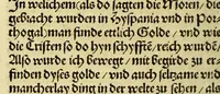 An illustration from Newe vnbekanthe Landte und ein newe Weldte in kurtz verganger Zeythe erfunden (1508)
