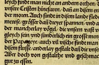 An illustration from Newe vnbekanthe Landte und ein newe Weldte in kurtz verganger Zeythe erfunden (1508)