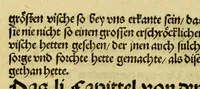 An illustration from Newe vnbekanthe Landte und ein newe Weldte in kurtz verganger Zeythe erfunden (1508)