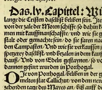 Picture 17 of 47 from Newe vnbekanthe Landte und ein newe Weldte in kurtz verganger Zeythe erfunden (1508), leaf 54