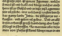 An illustration from Newe vnbekanthe Landte und ein newe Weldte in kurtz verganger Zeythe erfunden (1508)