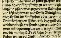 An illustration from Newe vnbekanthe Landte und ein newe Weldte in kurtz verganger Zeythe erfunden (1508)
