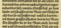 Picture 25 of 47 from Newe vnbekanthe Landte und ein newe Weldte in kurtz verganger Zeythe erfunden (1508), leaf 76