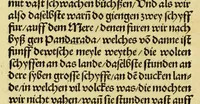Picture 26 of 47 from Newe vnbekanthe Landte und ein newe Weldte in kurtz verganger Zeythe erfunden (1508), leaf 76