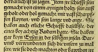 An illustration from Newe vnbekanthe Landte und ein newe Weldte in kurtz verganger Zeythe erfunden (1508)