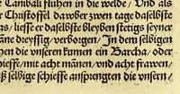 An illustration from Newe vnbekanthe Landte und ein newe Weldte in kurtz verganger Zeythe erfunden (1508)