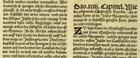 An illustration from Newe vnbekanthe Landte und ein newe Weldte in kurtz verganger Zeythe erfunden (1508)