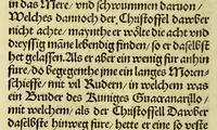 An illustration from Newe vnbekanthe Landte und ein newe Weldte in kurtz verganger Zeythe erfunden (1508)