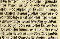 An illustration from Newe vnbekanthe Landte und ein newe Weldte in kurtz verganger Zeythe erfunden (1508)