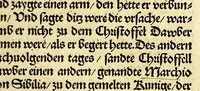 An illustration from Newe vnbekanthe Landte und ein newe Weldte in kurtz verganger Zeythe erfunden (1508)