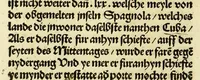 Picture 35 of 47 from Newe vnbekanthe Landte und ein newe Weldte in kurtz verganger Zeythe erfunden (1508), leaf 92
