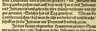 An illustration from Newe Welt. : Warhafftige Anzeigung der Hispanier grewlichen, abschewlichen vnd vnmenschlichen Tyranney, von jhnen inn den indianischen Ländern, so gegen Nidergang der Sonnen gelegen, vnd die Newe Welt genennet wird, begangen. (1597)