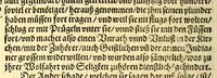 An illustration from Newe Welt. : Warhafftige Anzeigung der Hispanier grewlichen, abschewlichen vnd vnmenschlichen Tyranney, von jhnen inn den indianischen Ländern, so gegen Nidergang der Sonnen gelegen, vnd die Newe Welt genennet wird, begangen. (1597)