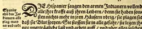 An illustration from Newe Welt. : Warhafftige Anzeigung der Hispanier grewlichen, abschewlichen vnd vnmenschlichen Tyranney, von jhnen inn den indianischen Ländern, so gegen Nidergang der Sonnen gelegen, vnd die Newe Welt genennet wird, begangen. (1597)