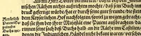 An illustration from Newe Welt. : Warhafftige Anzeigung der Hispanier grewlichen, abschewlichen vnd vnmenschlichen Tyranney, von jhnen inn den indianischen Ländern, so gegen Nidergang der Sonnen gelegen, vnd die Newe Welt genennet wird, begangen. (1597)
