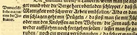 An illustration from Newe Welt. : Warhafftige Anzeigung der Hispanier grewlichen, abschewlichen vnd vnmenschlichen Tyranney, von jhnen inn den indianischen Ländern, so gegen Nidergang der Sonnen gelegen, vnd die Newe Welt genennet wird, begangen. (1597)