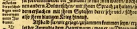 An illustration from Newe Welt. : Warhafftige Anzeigung der Hispanier grewlichen, abschewlichen vnd vnmenschlichen Tyranney, von jhnen in den indianischen Ländern, so gegen Nidergang der Sonnen gelegen, vnd die Newe Welt genennet wird, begangen. (1599)