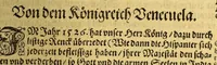 An illustration from Newe Welt. : Warhafftige Anzeigung der Hispanier grewlichen, abschewlichen vnd vnmenschlichen Tyranney, von jhnen in den indianischen Ländern, so gegen Nidergang der Sonnen gelegen, vnd die Newe Welt genennet wird, begangen. (1599)