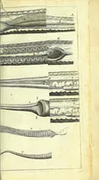 An illustration from New experiments upon vipers : (1673)