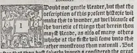 An illustration from The new found vvorlde, or Antarctike, : wherein is contained wo[n]derful and strange things, as well of humaine creatures, as beastes, fishes, and serpents, trées, plants, mines of golde and siluer: garnished with many learned aucthorities, (1568)