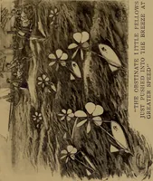 Picture 82 of 125 from New games and amusements for young and old alike (1905), leaf 276