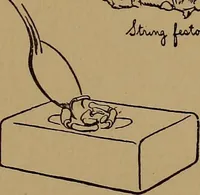 Picture 121 of 125 from New games and amusements for young and old alike (1905), leaf 378