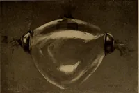 An illustration from New games and amusements for young and old alike (1905)