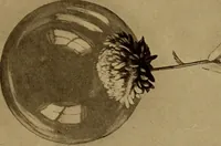 Picture 19 of 125 from New games and amusements for young and old alike (1905), leaf 88